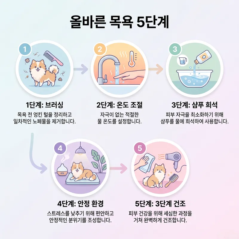 올바른 강아지 목욕 5단계 절차(브러싱·온도조절·샴푸희석·안정환경·완전건조)를 순서대로 정리한 인포그래픽