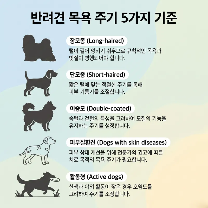 강아지 목욕 주기를 결정하는 5가지 기준(장모종·단모종·이중모·피부질환견·활동형)을 아이콘으로 정리한 인포그래픽