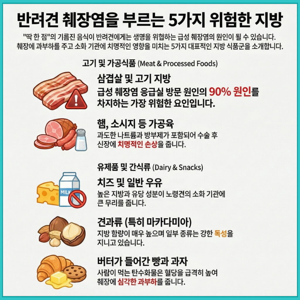 "딱 한 점"이 치명적일 수 있습니다! 10살 포미 보호자가 알려주는 반려견 췌장염 유발 5가지 위험 식품 리스트. 노령견 수술 후 회복기라면 반드시 피해야 할 고지방 음식 정보를 확인하세요.