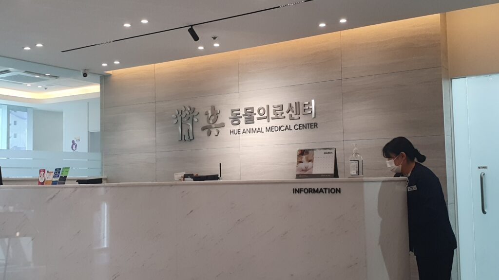 포미가 자주다니는 동물병원