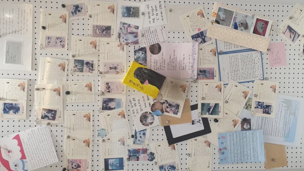 동물병원 게시판에 붙어 있는 반려동물에게 보내는 편지와 추억 사진들