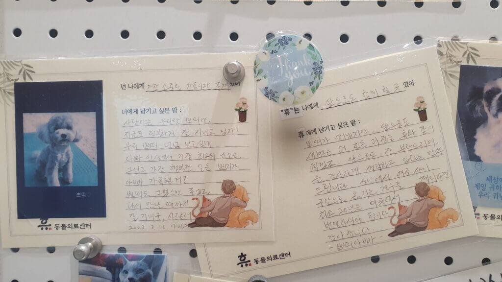 무지개다리를 건넌 반려동물에게 보호자가 남긴 추모 편지와 사진이 붙어 있는 동물병원 메시지 보드
