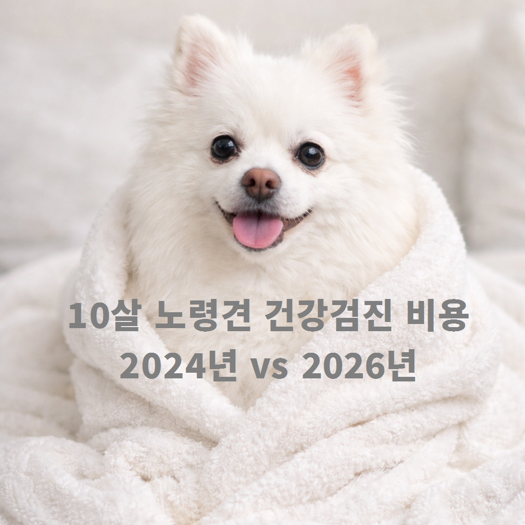 2024년 10월 9일, 성남 휴동물의료센터에서 결제한 폼피치 포미의 건강검진 세부 내역서. HUE 건강검진 정밀 프로그램 650,000원을 포함하여 총 667,900원이 결제된 영수증 화면.