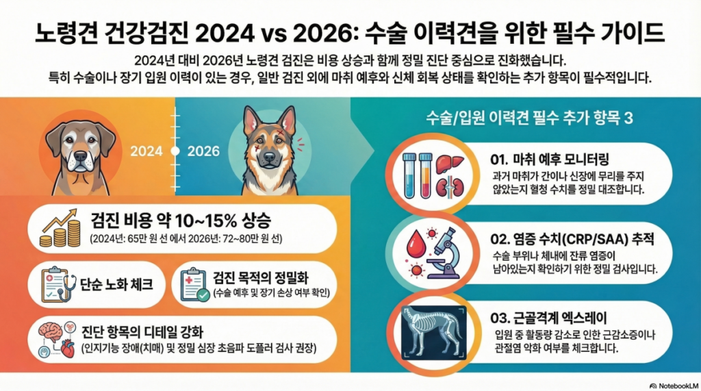 2024년과 2026년 노령견 건강검진의 비용 상승률, 검진 목적의 변화(단순 노화 체크에서 수술 예후 확인으로), 그리고 마취 예후 모니터링, 염증 수치 추적, 근골격계 엑스레이 등 수술 이력견을 위한 필수 추가 항목 3가지를 정리한 인포그래픽.