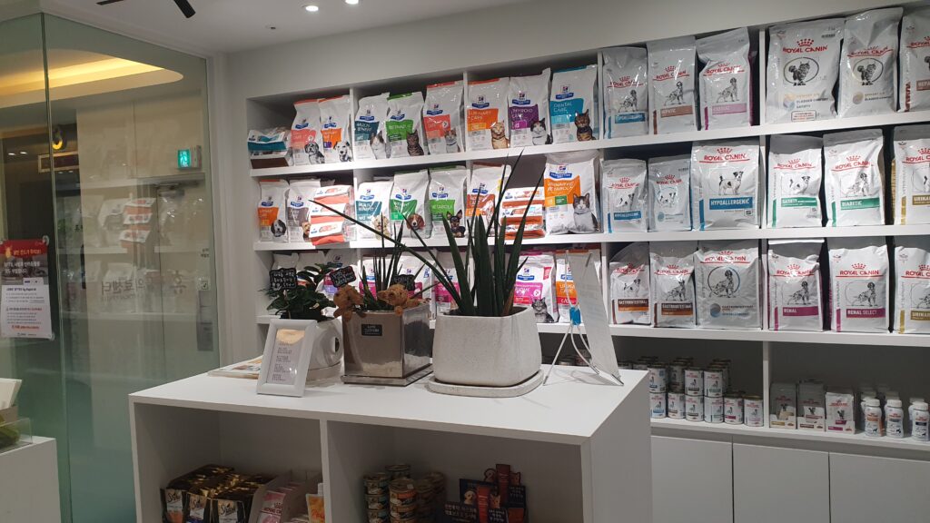 노령견 건강 관리와 영양 상담을 위한 동물병원 처방 사료 진열 공간