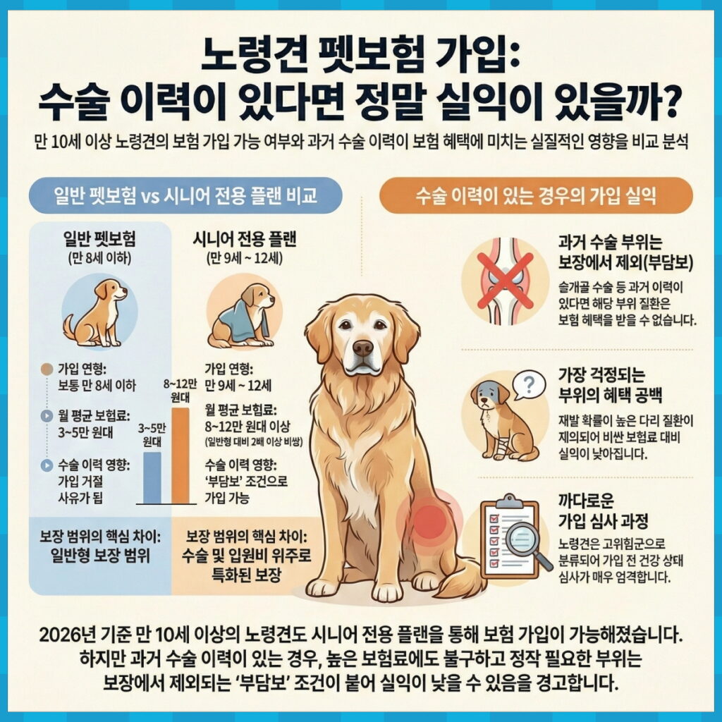 노령견 펫보험 일반형과 시니어 전용 플랜 비교 분석 인포그래픽 - 만 10세 이상 가입 가능 여부, 보험료 차이, 과거 수술 이력이 보험 혜택(부담보 조건)에 미치는 영향 요약