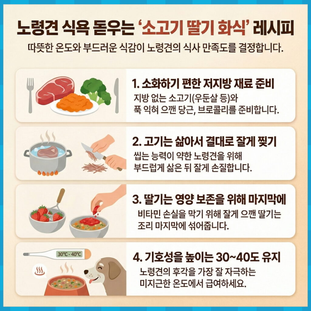 10살 노령견을 위한 소고기 딸기 보양식 만드는 법 인포그래픽. 소고기 삶기, 채소 찌기, 생딸기 다지기 과정과 꼭지 제거 및 소량 급여 등 주의 사항이 포함된 상세 조리 가이드