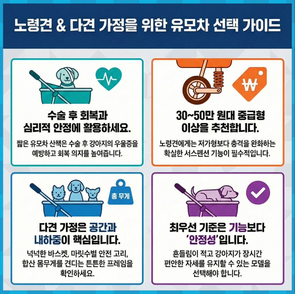 노령견 유모차 추천 선택 기준 인포그래픽