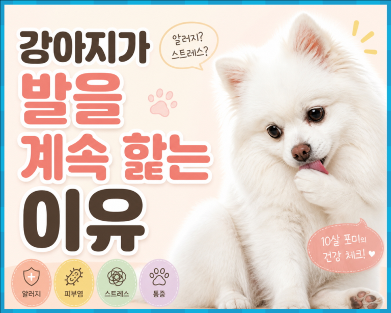 강아지 발 핥는 이유 5가지 알러지 스트레스 구별법