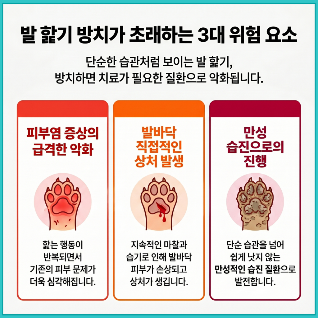 강아지가 발을 계속 핥을 때 방치하면 생기는 위험을 설명한 이미지, 피부염 악화 상처 발생 만성 습진 등 3가지 문제 정리