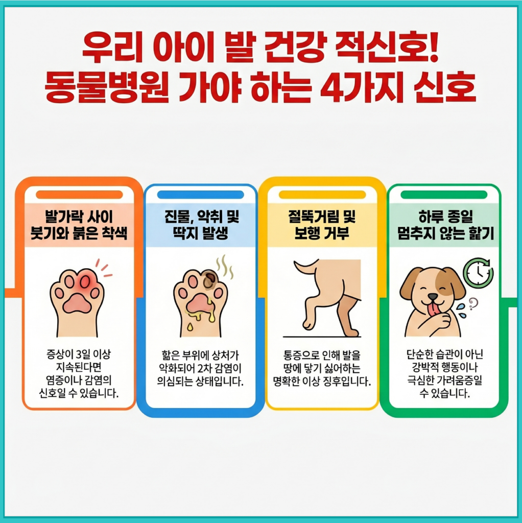 강아지가 발을 계속 핥을 때 병원에 가야 하는 증상을 설명한 이미지, 붓기 악취 절뚝거림 지속적인 핥기 등 4가지 신호 정리