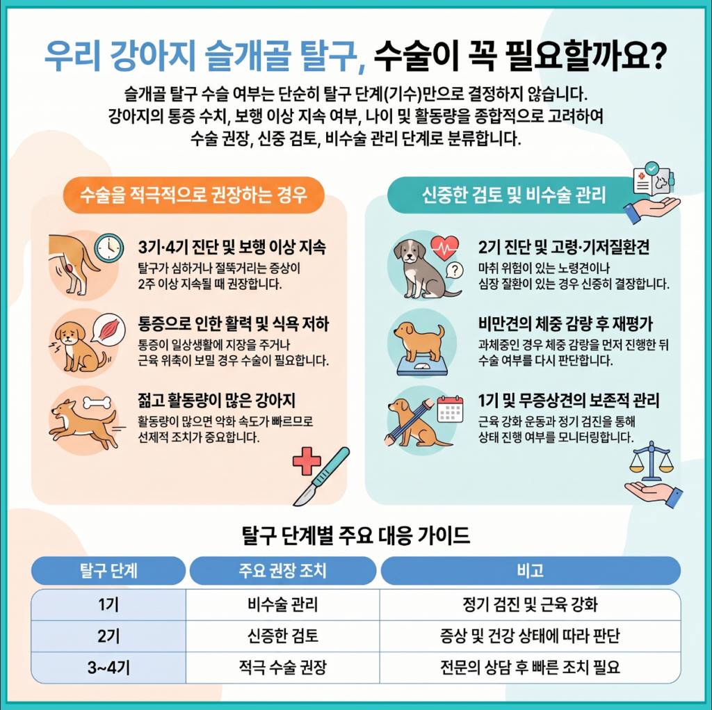 강아지 슬개골 탈구 수술 결정 가이드 인포그래픽 — 수술 권장 기준, 신중 검토 기준, 탈구 단계별 대응 가이드