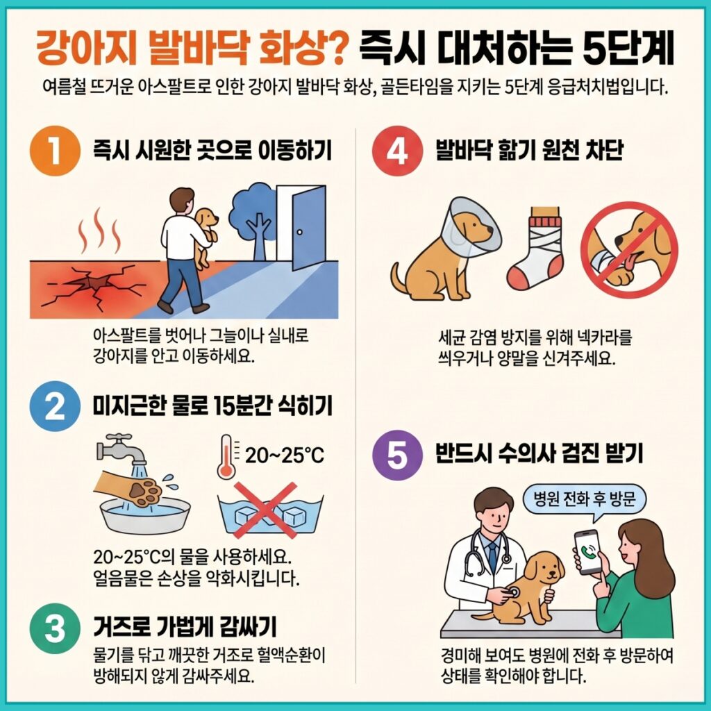 강아지 발바닥 화상 발생 시 즉시 대처하는 응급처치 5단계 가이드 인포그래픽