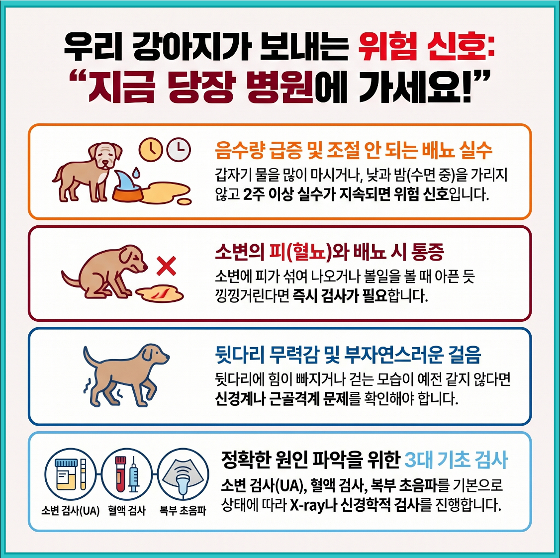 노령견 야간 배뇨 실수 위험 신호 4가지 — 음수량 급증, 혈뇨, 뒷다리 무력감, 3대 기초 검사 안내