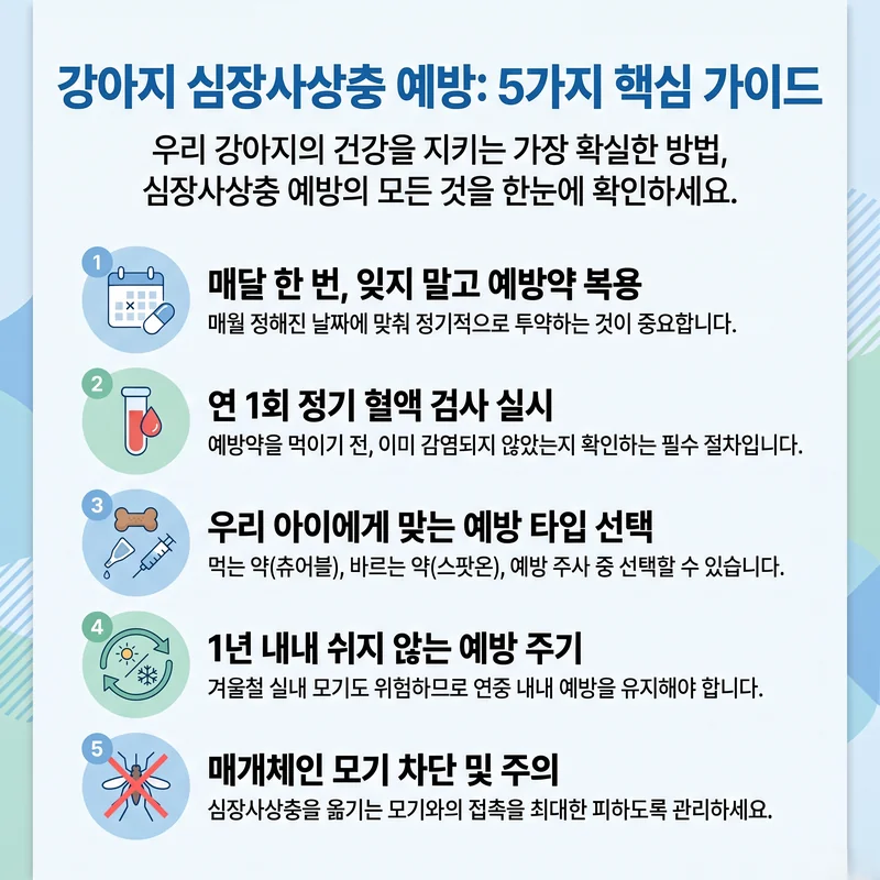 강아지 심장사상충 예방 5가지 핵심(매달 예방약·연 1회 혈액검사·예방 타입 선택·연중 예방·모기 차단)을 정리한 인포그래픽