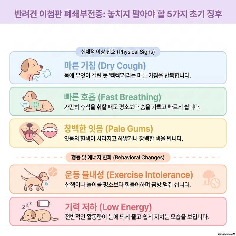 강아지 승모판막폐쇄부전증 초기 증상 5가지 체크리스트 인포그래픽