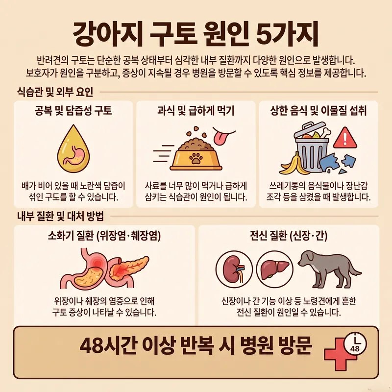 강아지 구토 원인 5가지 — 공복 담즙성 구토, 과식과 급하게 먹기, 상한 음식과 이물질 섭취, 위장염·췌장염, 신장·간 전신 질환