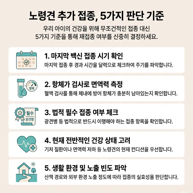 노령견 항체검사를 포함한 재접종 판단 기준 5가지를 아이콘과 함께 정리한 인포그래픽