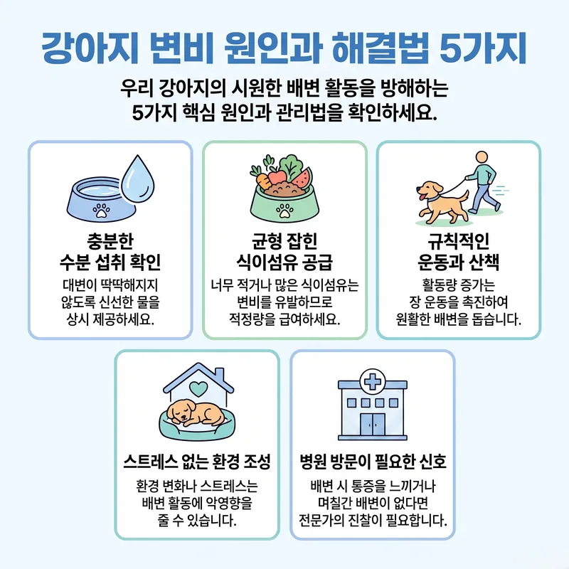 강아지 변비 원인 5가지와 해결법 인포그래픽 — 수분, 식이섬유, 운동, 환경, 병원 신호